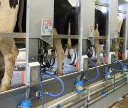 Müasir  Heyvandarlıq Fermalarının qurulması