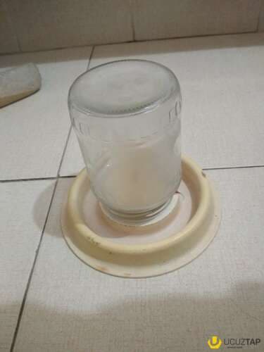 Cücələr üçün su qabı