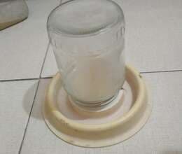 Cücələr üçün su qabı