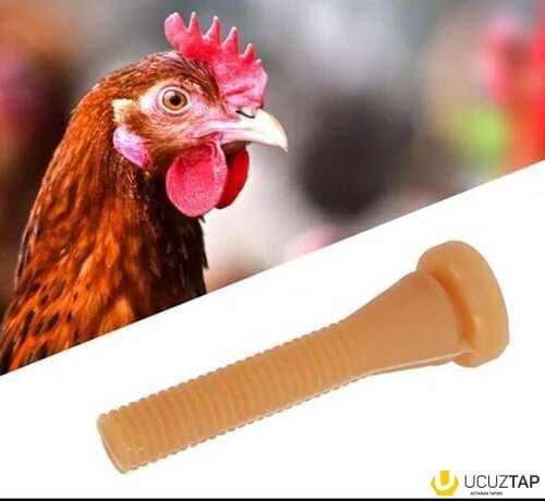 Toyuq yolan Aparat rezinləri