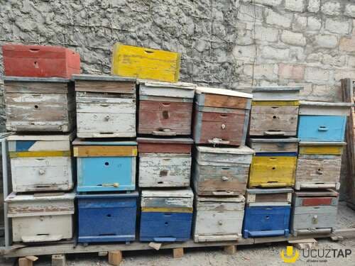 Arı yeşikləri satılır 