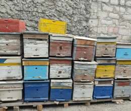 Arı yeşikləri satılır 