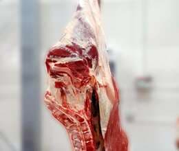 Ət və Ət Məhsulları