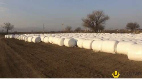 Silos Gargadalı paçkalarda 