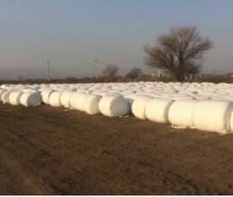 Silos Gargadalı paçkalarda 