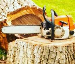 Ağac kesmek budamaq işləri görülür 