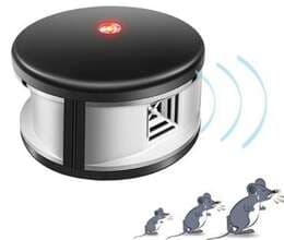 Siçan qovan aparat 500 kv metr 