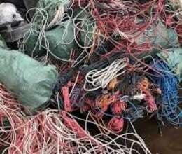 Mis kabellərin qəbulu 