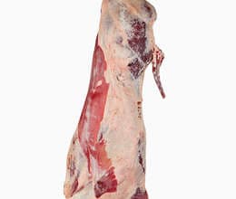 Mal əti (bütöv heyvan)