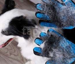 Heyvan darama əlcəyi