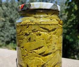 Bakı Üzüm yarpağı