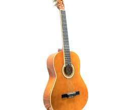 Gitara Mastework mfc 3900