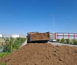 Qara torpaq ve peyin 