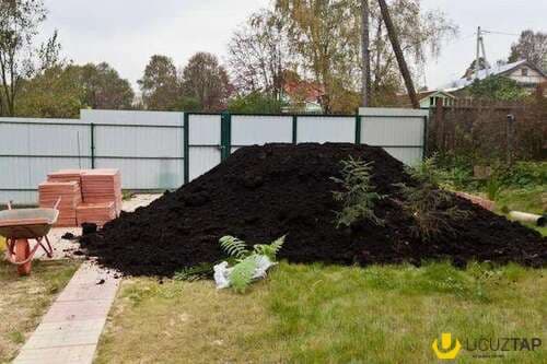 Qara meşə torpaqı