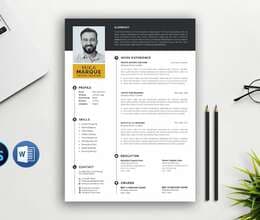 Professional CV hazırlanması