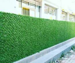 Qazon Setka(yaşıl hasar)