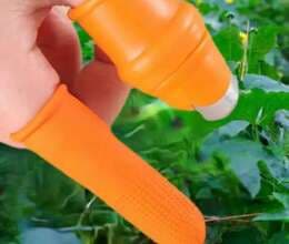 Tərəvəz üçün barmaqlıq