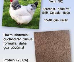 Böyütmə yemi №2