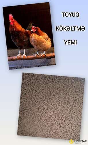 Toyuq Kökəltmə yemi №3