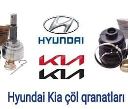 Hyundai Kia çöl iç qranatı