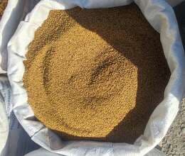 Yonca toxumu (beyləqan sortu)